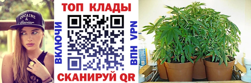 Наркошоп купить ГАШИШ  Канабис  ЭКСТАЗИ  Меф  COCAIN  Козьмодемьянск