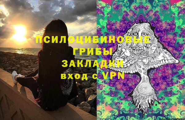 ешки Володарск