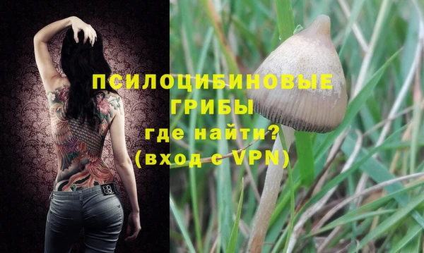 ешки Володарск