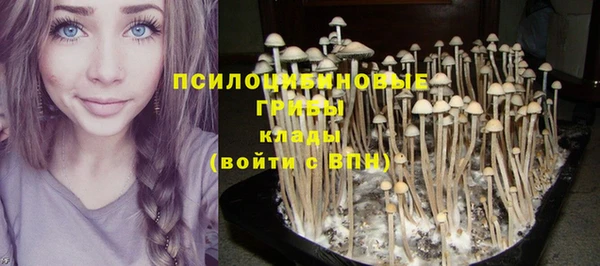 соль курить ск Волосово