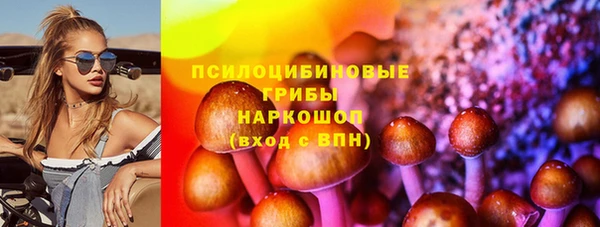 ешки Володарск