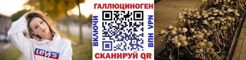 Галлюциногенные грибы мицелий  Купить  Козьмодемьянск 